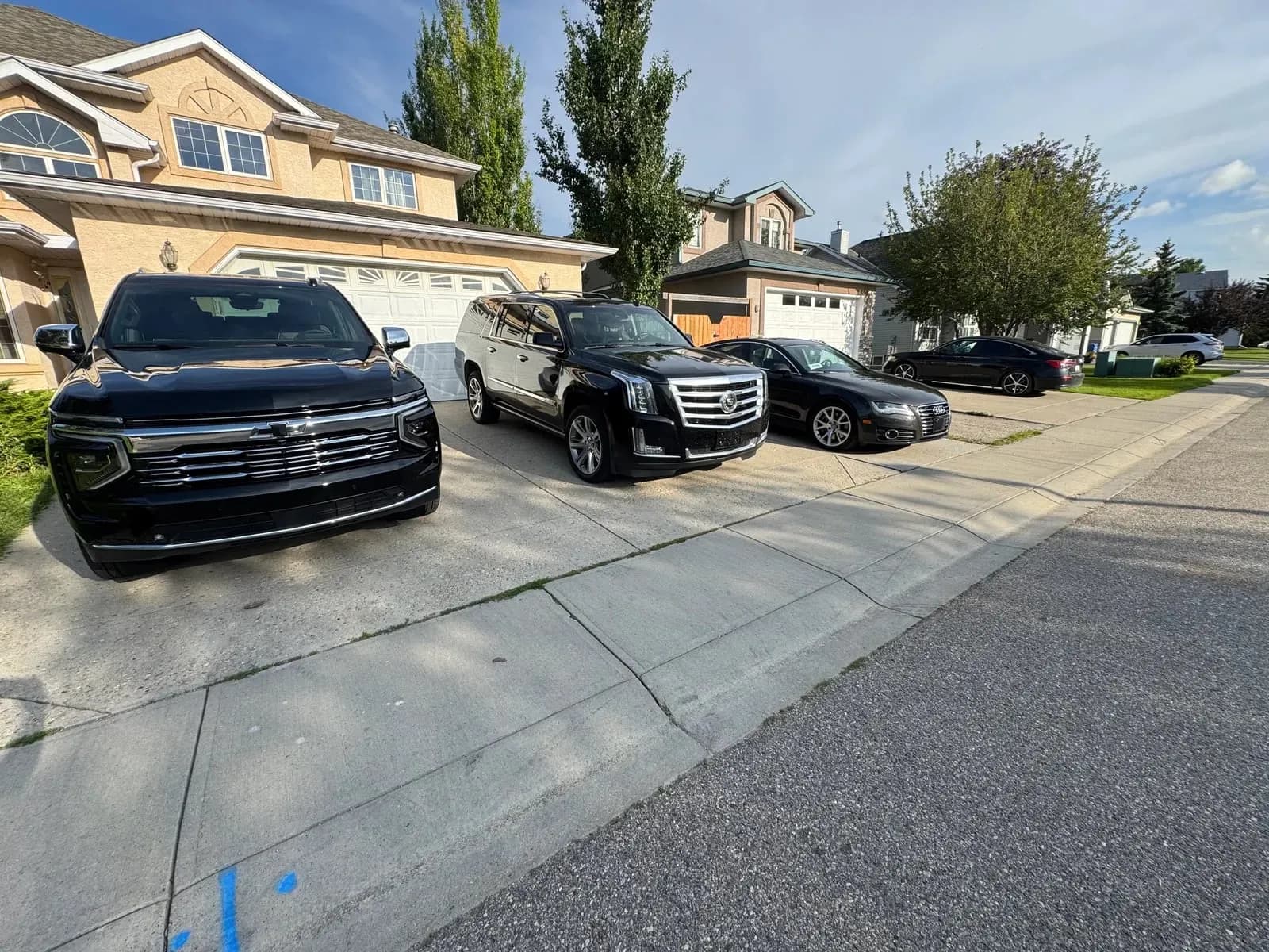 Executive Sedan Profile